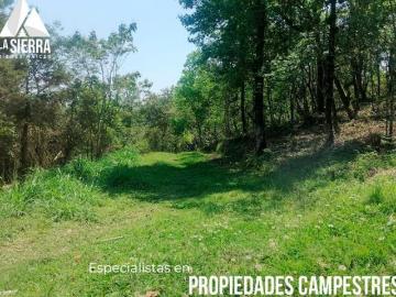 ALÉJATE DE LA CIUDAD Y VEN A LA NATURALEZA