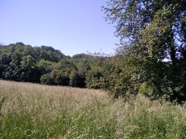 Aleksandra Zelwerowicza 5 316 m², Rzeszów
