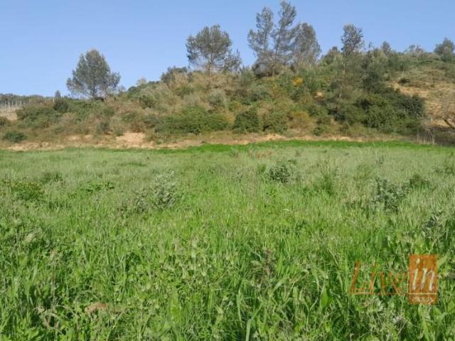 Alenquer Alenquer 89447505