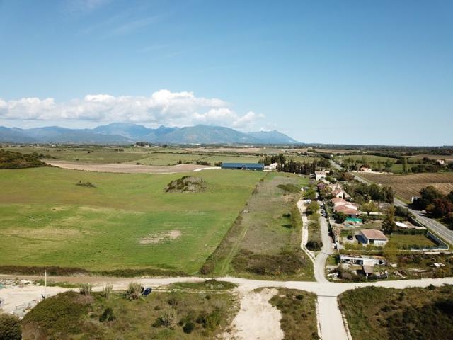 Aléria Vente Terrain 20