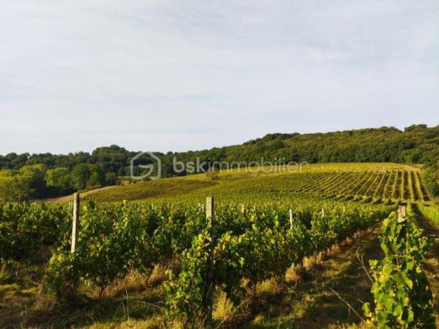 ✨ 32 HECTARES D’EXCEPTION À AURIONS IDERNES