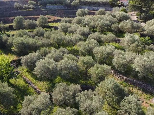 Alès Vente Terrain 30