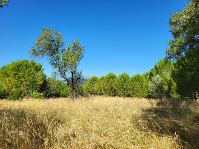 Alès Vente Terrain 30