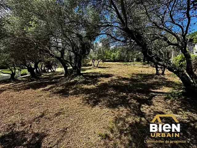 Alès 30100 Achat / Vente terrain