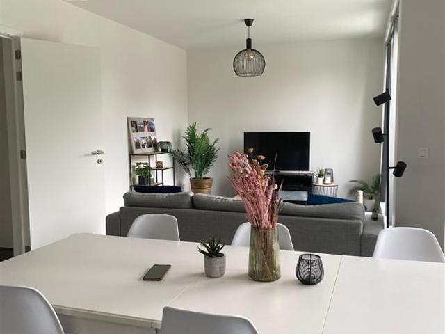 Alfons van de Maelestraat 82, 9320 Erembodegem