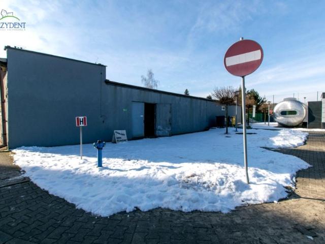 Alfreda 234 m², Katowice