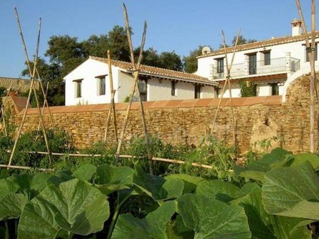 Algaba de Ronda
