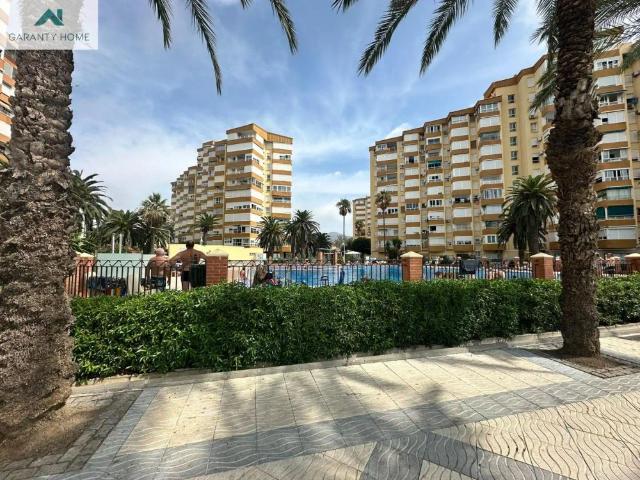 Algarrobo