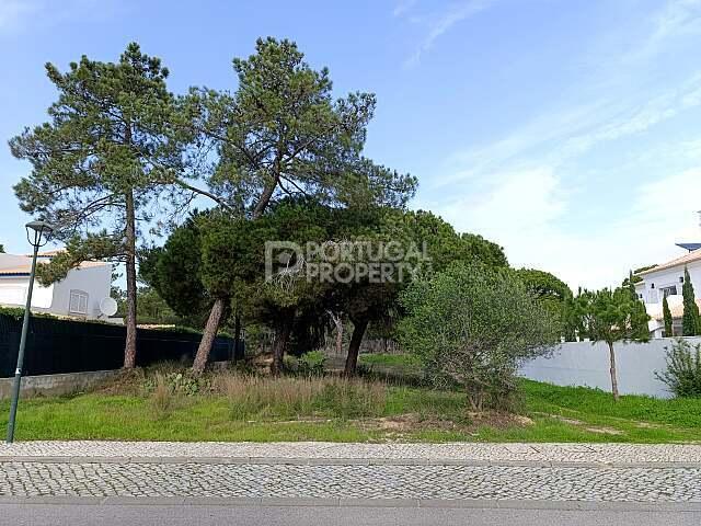 Algarve Algarve 89831013