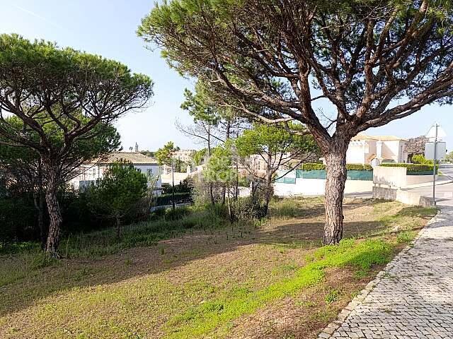 Algarve Algarve 89892582