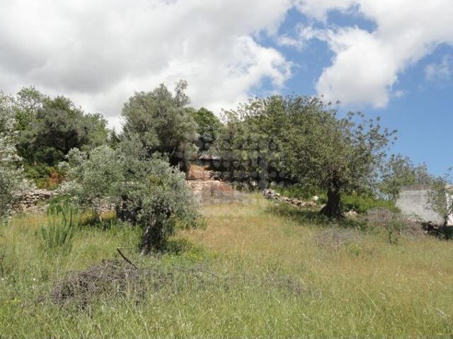 ALGARVE São Brás de Alportel Terreno rústico com 3.031 m2 para venda