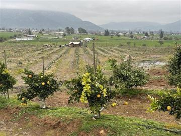 Alhué, Venta campo agricola has 39.7. En alhue. Melipilla
