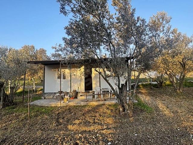 ALİAĞA BARBAROS HAYRETTİN PAŞA 1450 M2 SATILIK TARLA