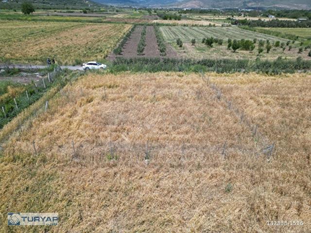 ALİAĞA HELVACI SATILIK 600M2 FIRSAT TARLA
