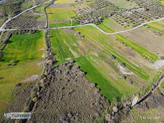 ALİAĞA KALABAK TA 1.173 m2 FIRSAT TARLA