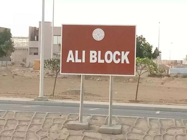 Ali Block. PRECINCT 12 125 Sqyds Karachi Bahria Town Karachi ID 59658