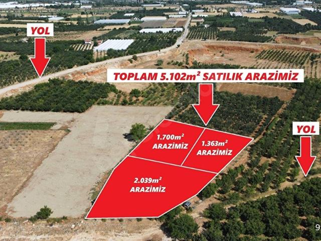 ALİ TOSUN'DAN ARMUTLU'DA ÜÇ PARSELDEN OLUŞAN FIRSAT ARAZİLER