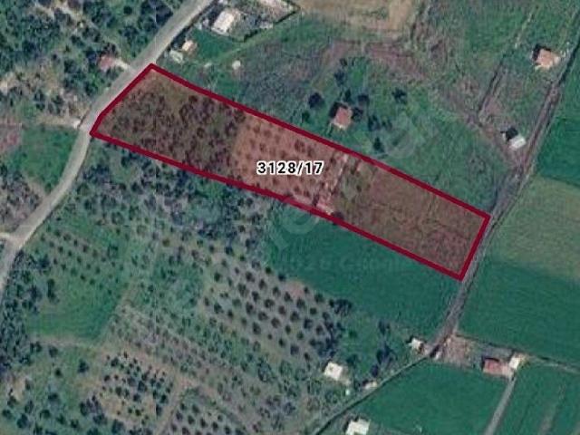 Aliağa Barbaros Hayrettin Paşa Çayıriçi Mevkiinde Satılık 775 Metrekare Tarla Hünkar Emlaktan