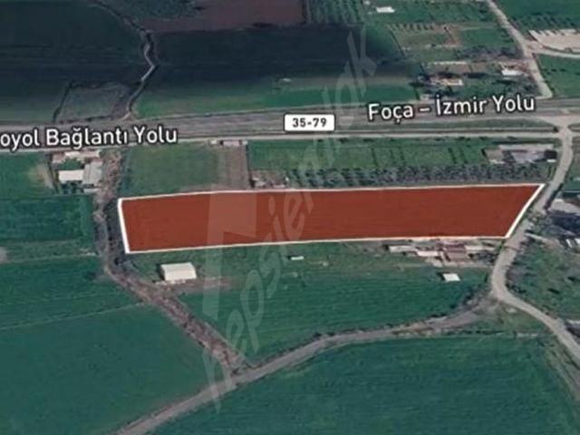 ALIAĞA FATIH MAHALLESINDE FOÇA YOLUNA 50 METRE 12.310 M SATILIK TARLA