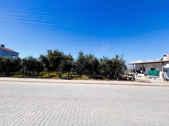 ÇALICA DA KÖŞE PARSEL 599 m2