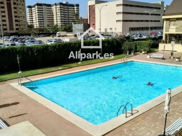 Alicante / Alacant