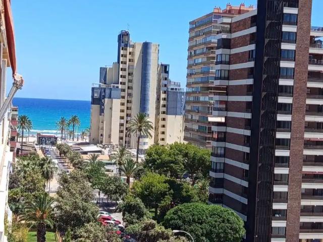 Alicante / Alacant