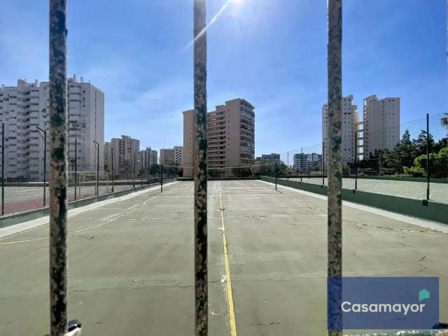 Alicante / Alacant