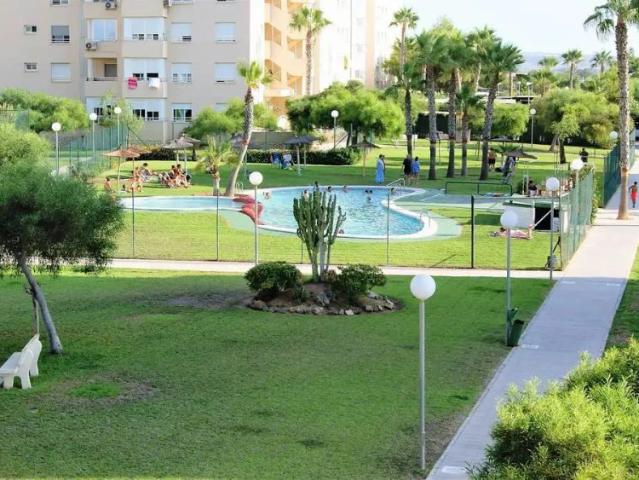 Alicante / Alacant