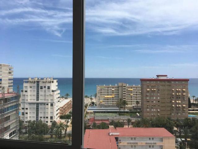 Alicante / Alacant