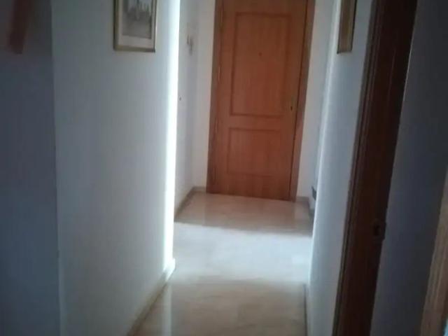 Alicante / Alacant