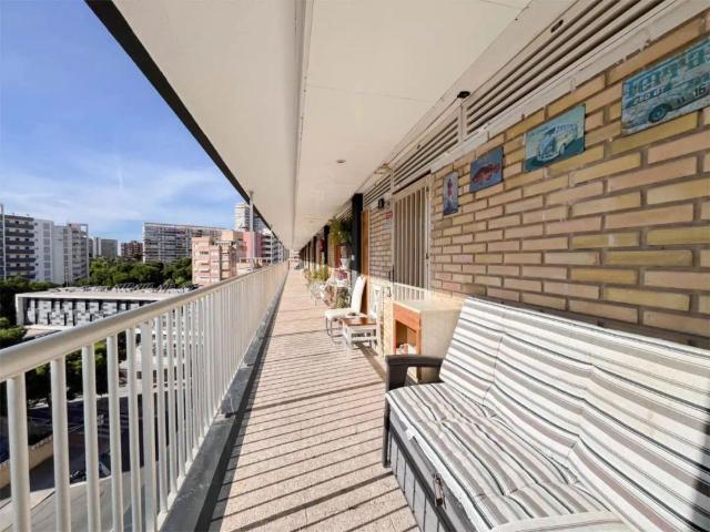 Alicante / Alacant