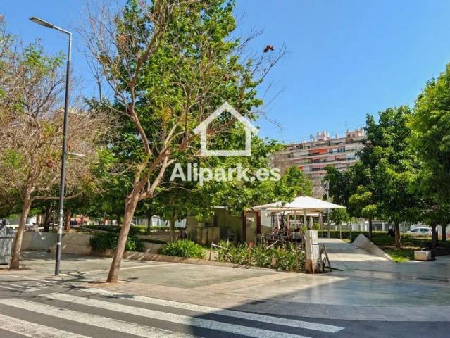 Alicante / Alacant
