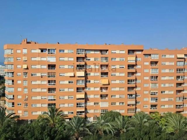 Alicante / Alacant