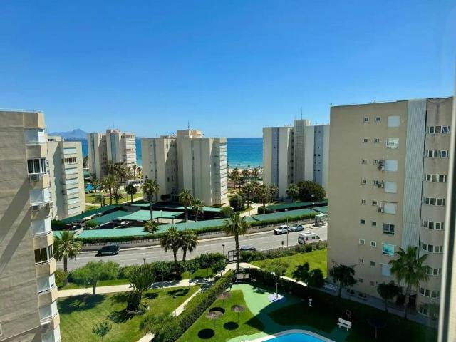 Alicante / Alacant