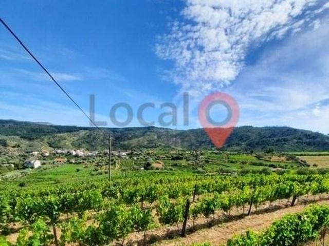 Alijó Vila Real 58035112
