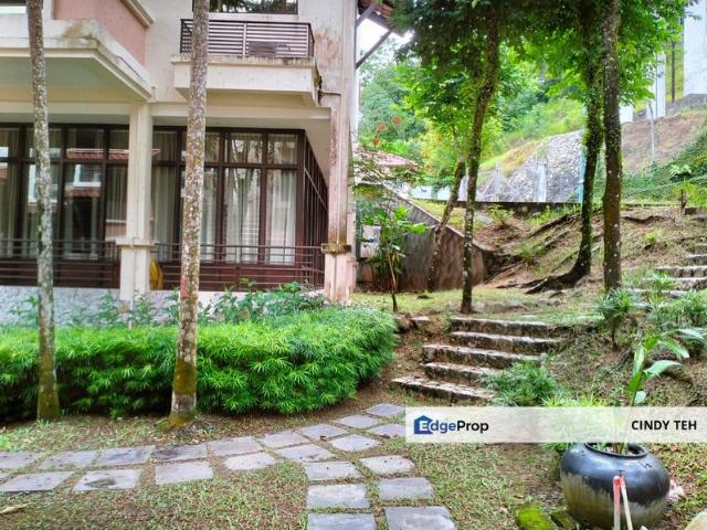 Alila Homes