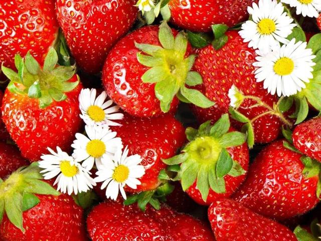 Alimentari Gastronomia in vendita a Empoli