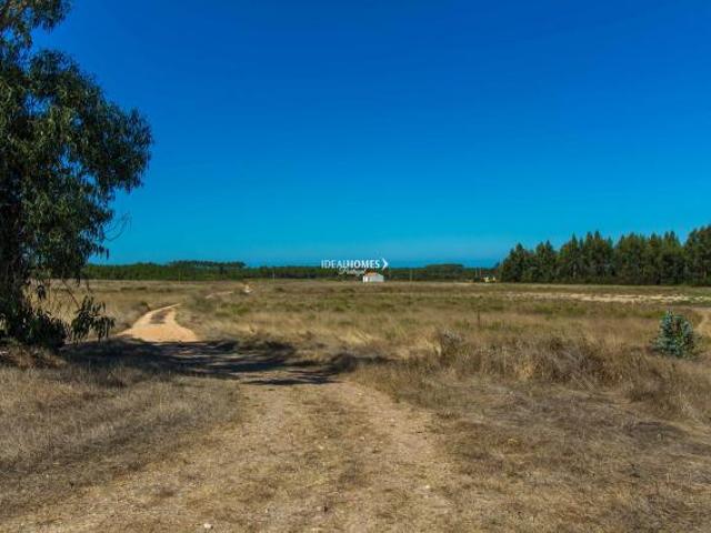 Aljezur Algarve 42901268