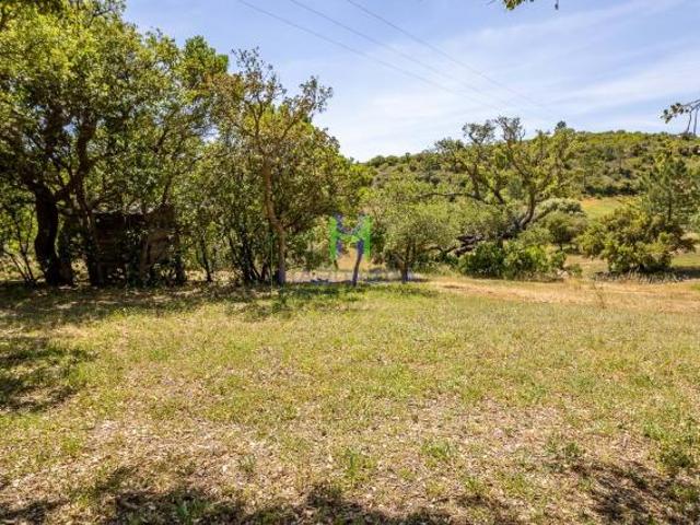 Aljezur Algarve 49720176