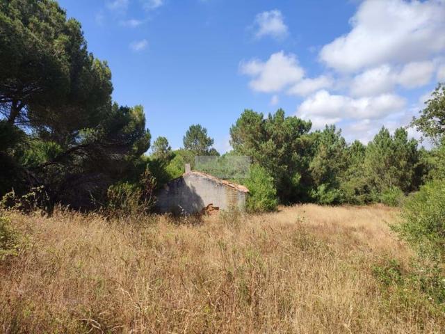 Aljezur Algarve 78189533