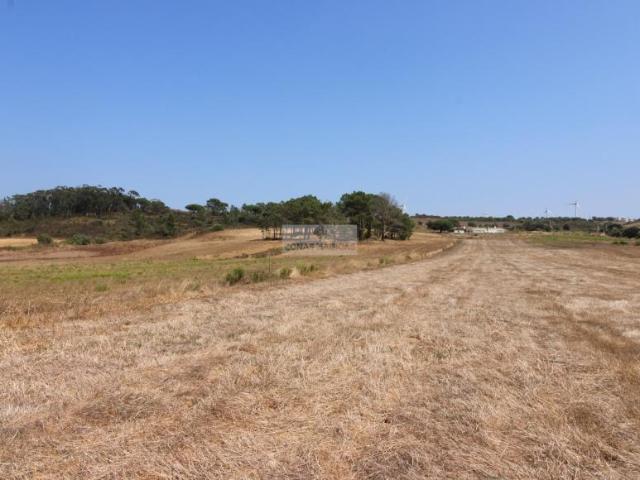 Aljezur Algarve LS96931424