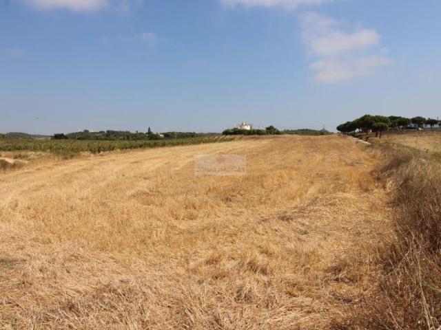 Aljezur Algarve LS96931426