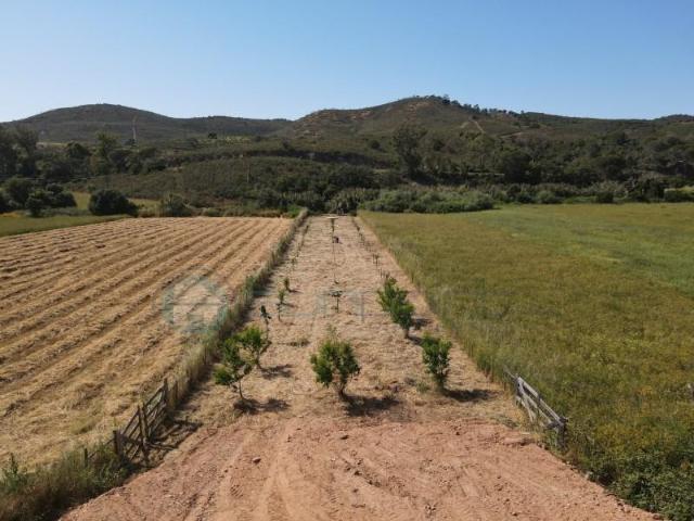 Aljezur Aljezur 91853081