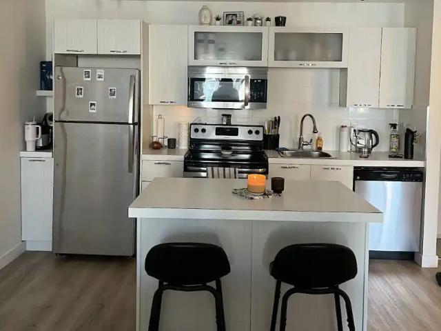ALL UTILITIES FURNISHED 1 Bedroom Condo in the Heart of Downtown