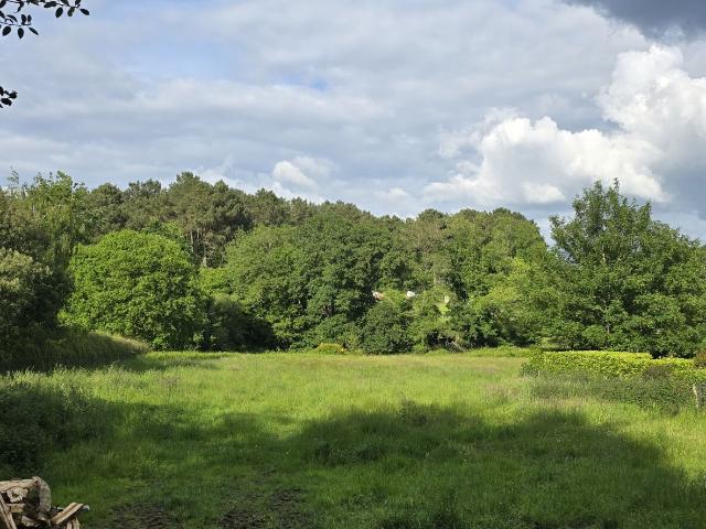 Allaire Vente Terrain 56