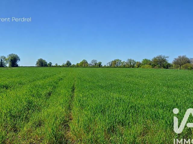 Allaire Vente Terrain 56