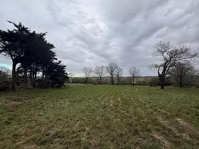 Allaire 56350 Achat / Vente terrain