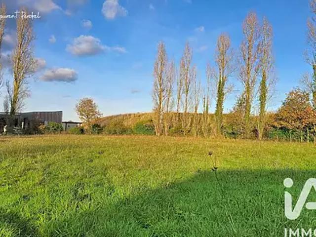 Allaire 56350 Achat / Vente terrain