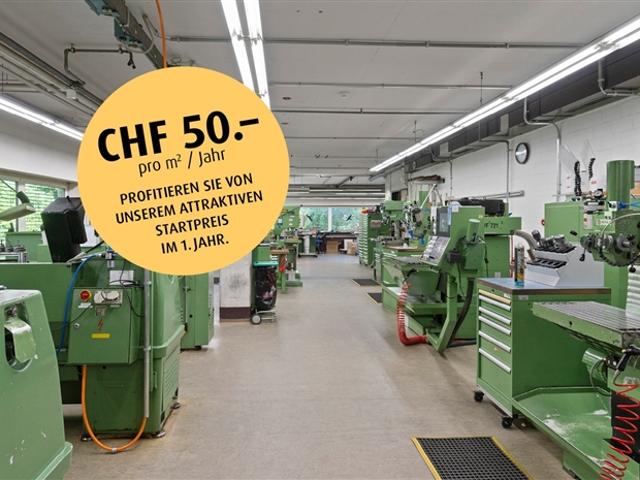 Alle Möglichkeiten für Sie Lager und Produktionsfläche im UG