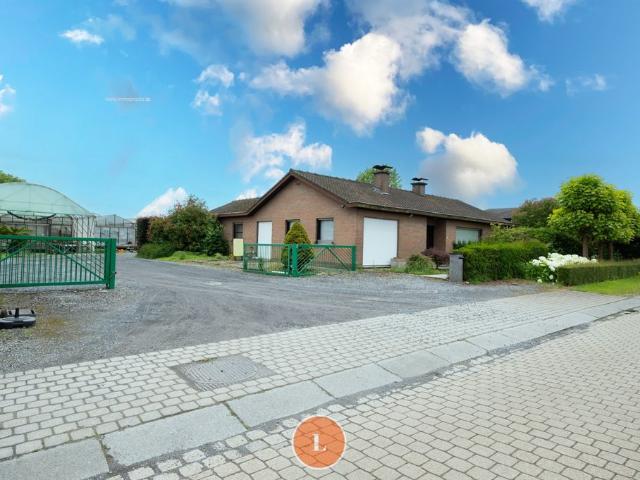 Alleenstaande gelijkvloerse woning met serres en loods op 5513m²
